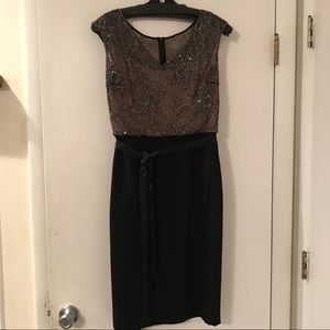 Teri Jon by Rickie Freeman Silk Beaded Dress